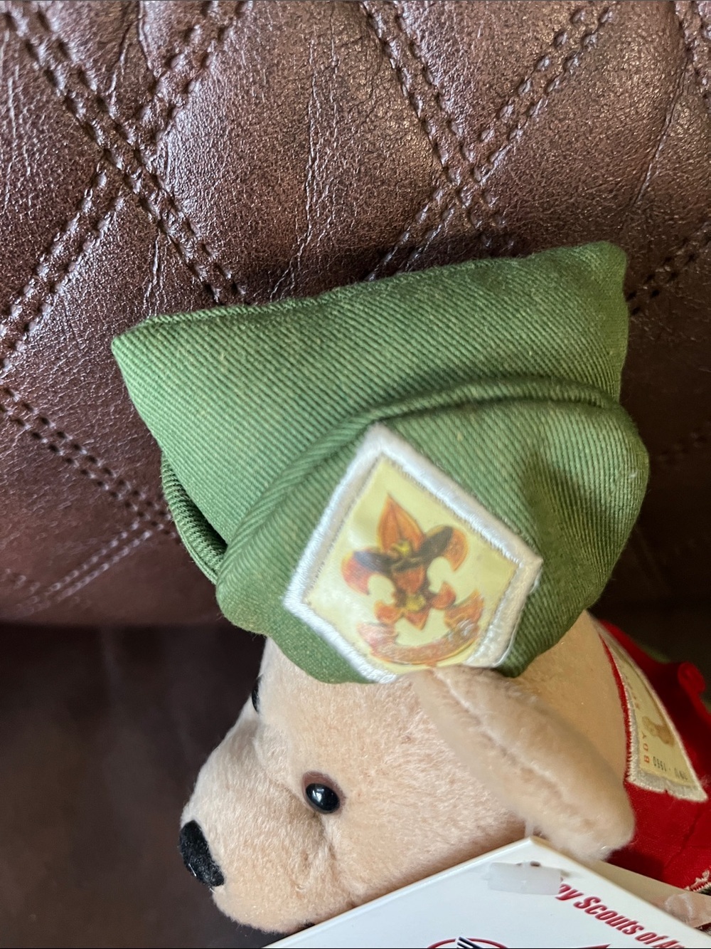 Boy Scouts of America Green Scout Bear Plush Toy - Picture 3 of 10